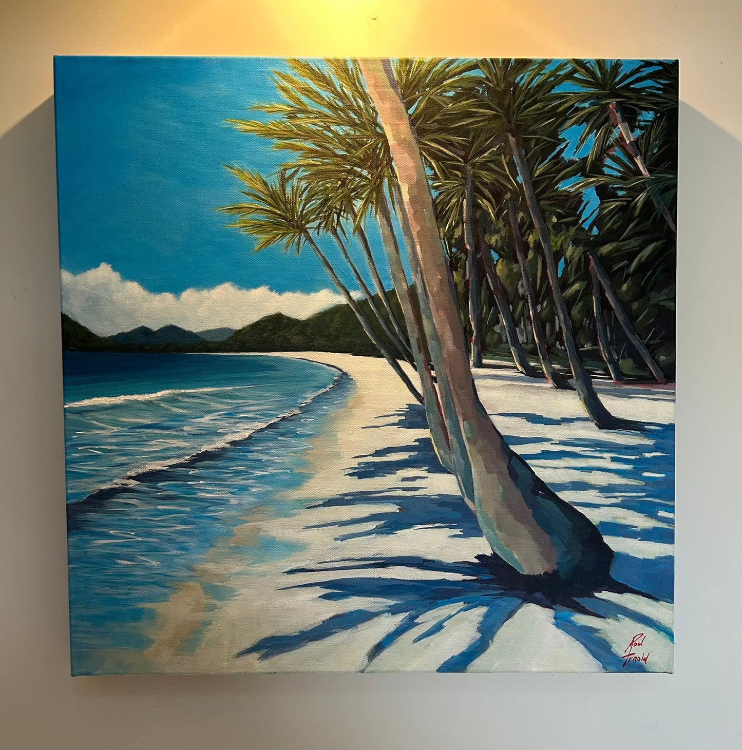 Daydreaming of Palm Cove