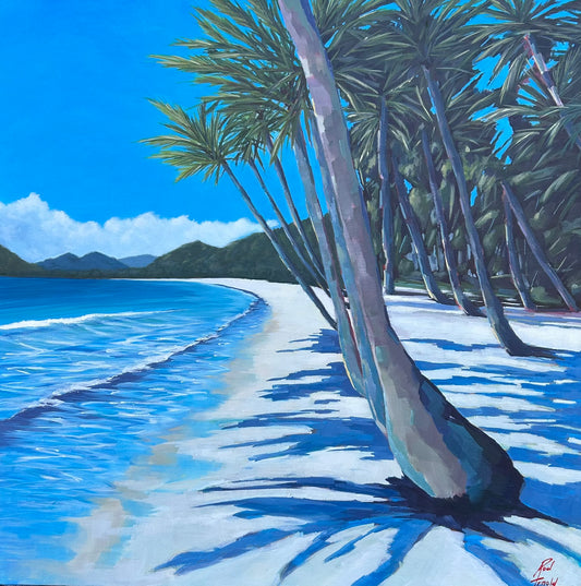 Daydreaming of Palm Cove